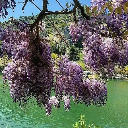 Sirius Maison d'hôtes Dalyan