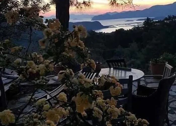 Sirius ゲストハウス