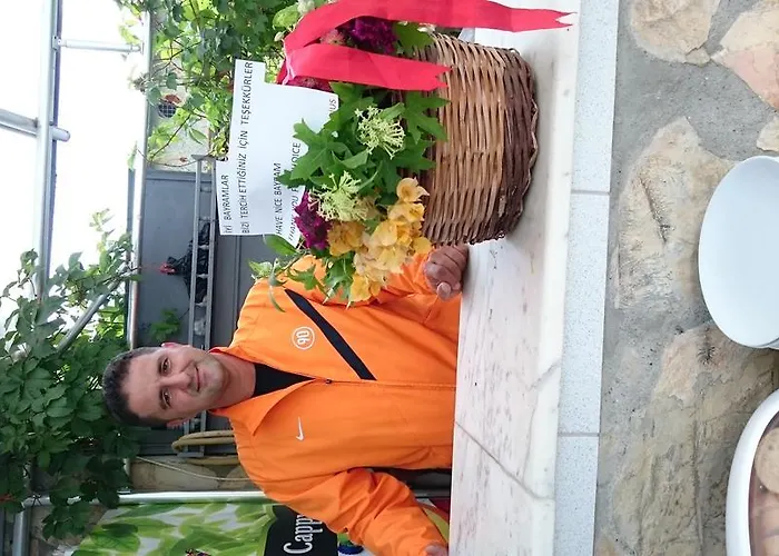 Sirius 4* ダルヤン