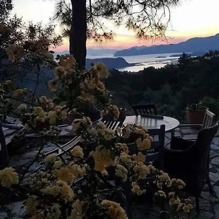 Sirius Guest house