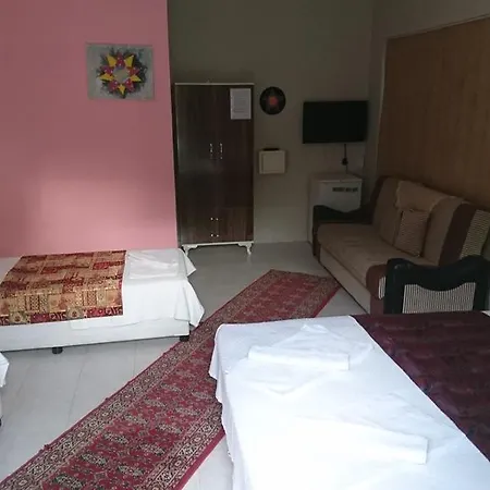 Sirius Guest house
