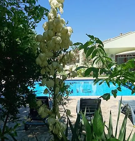 Sirius Guest house
