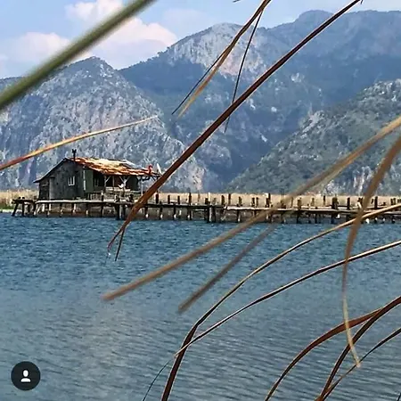Sirius Guest house