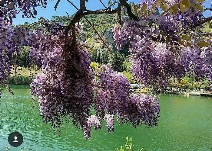 Sirius Konukevi Dalyan